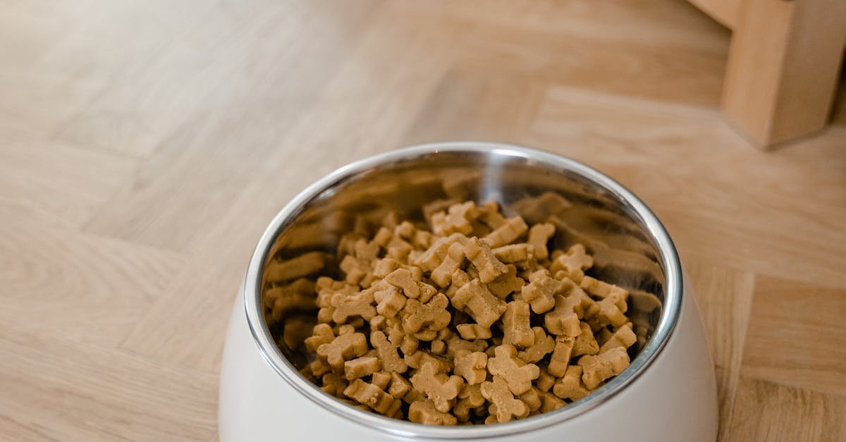 A bowl filled with dog food placed on a wooden floor, showcasing pet care essentials.