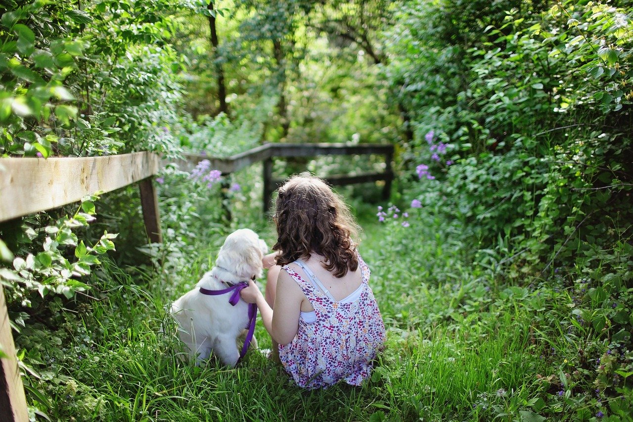 child, dog, pet, dress, nature, girl, golden retriever, animal, grass, green, childhood, love, outdoors, puppy, summer, wooden fence, garden, backyard, green love, green grass, green summer, green garden, green gardening, green pets