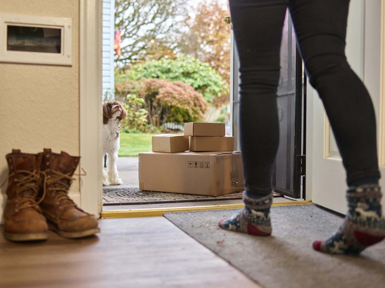 A woman opens the door to find delivery boxes with a curious dog outside.